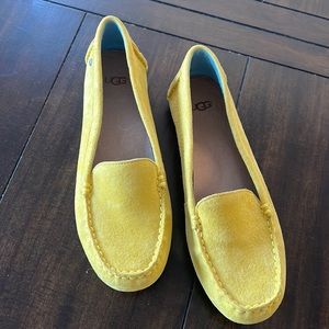 Worn ones uggs shoes! Great condition